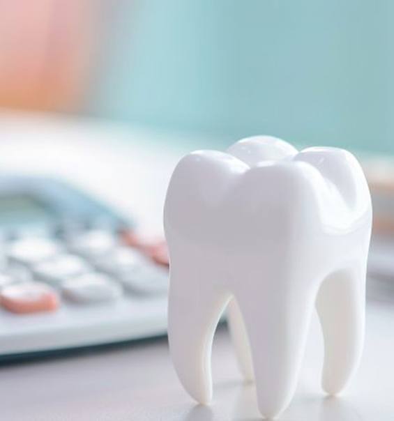 Tooth model next to calculator